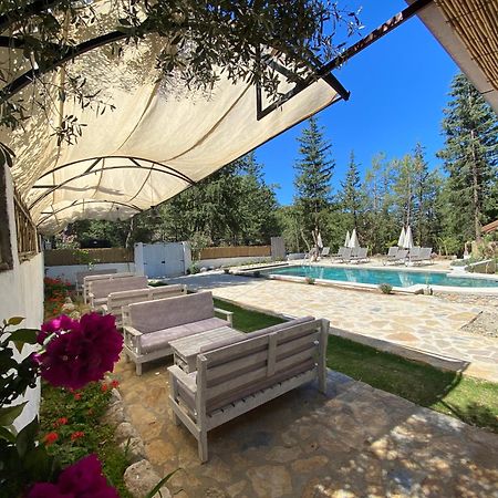 Kidrak Otel Montenegro-1 法拉尔雅 外观 照片